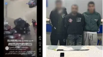 سرقة هاتف في القاهرة.. المتهمون نظموا مشاجرة لإخفاء الجريمة